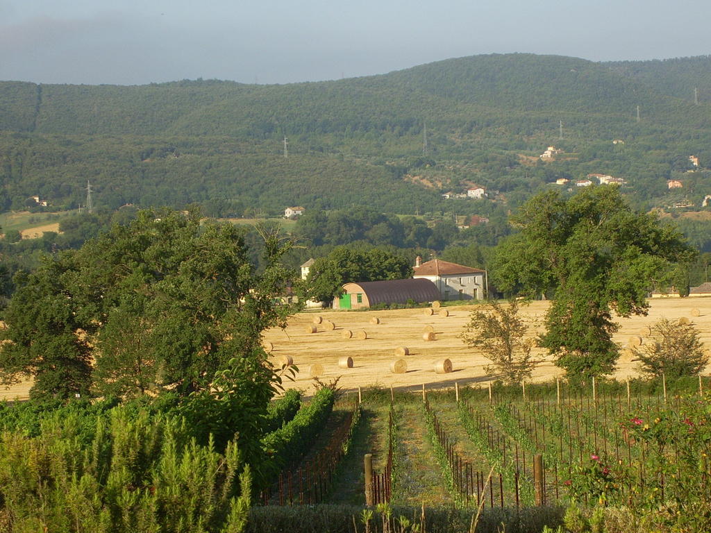 Agriturismo Regno Verde Narni Eksteriør billede