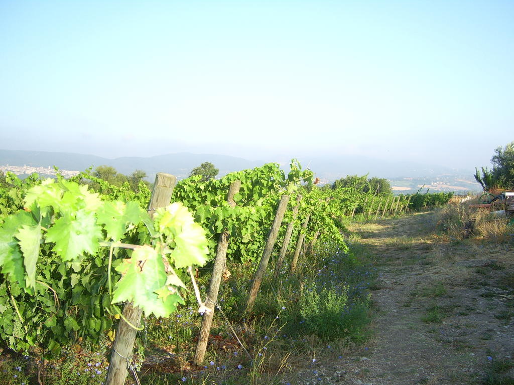 Agriturismo Regno Verde Narni Eksteriør billede