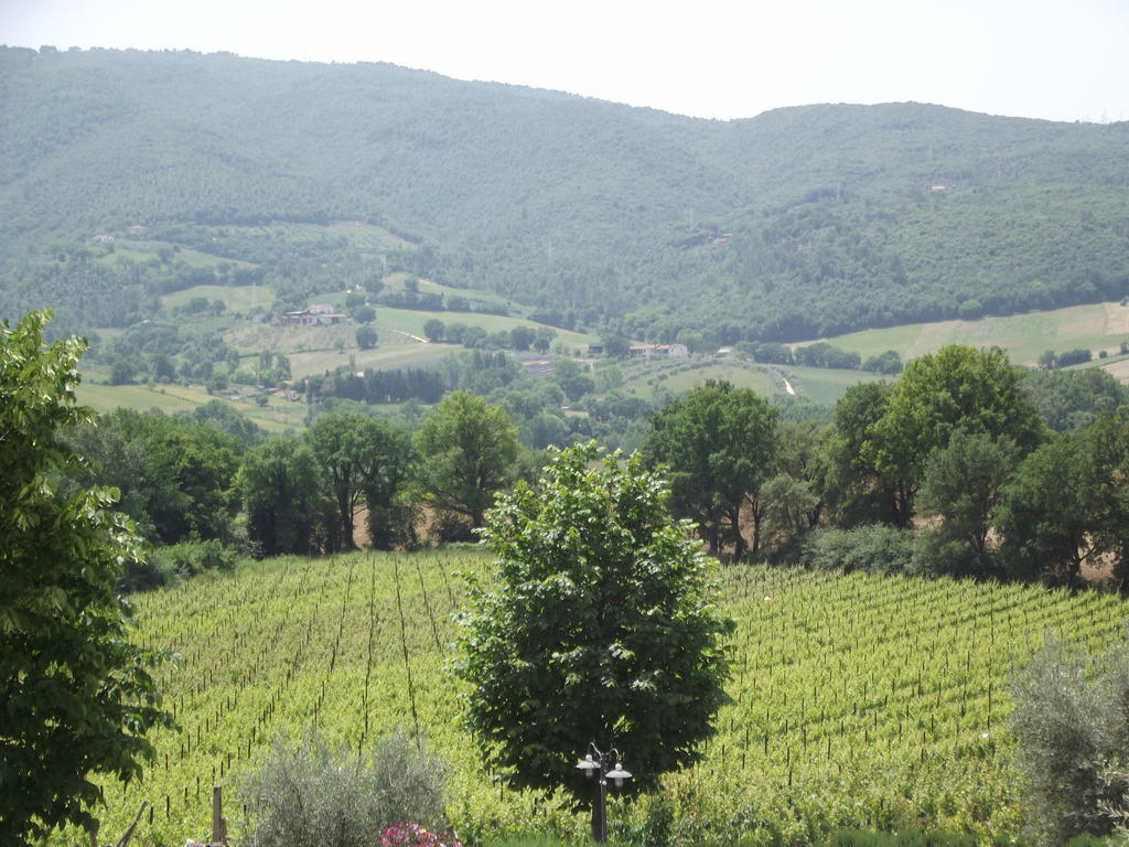 Agriturismo Regno Verde Narni Eksteriør billede