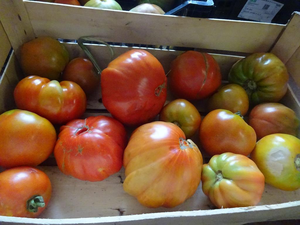 Agriturismo Regno Verde Narni Eksteriør billede